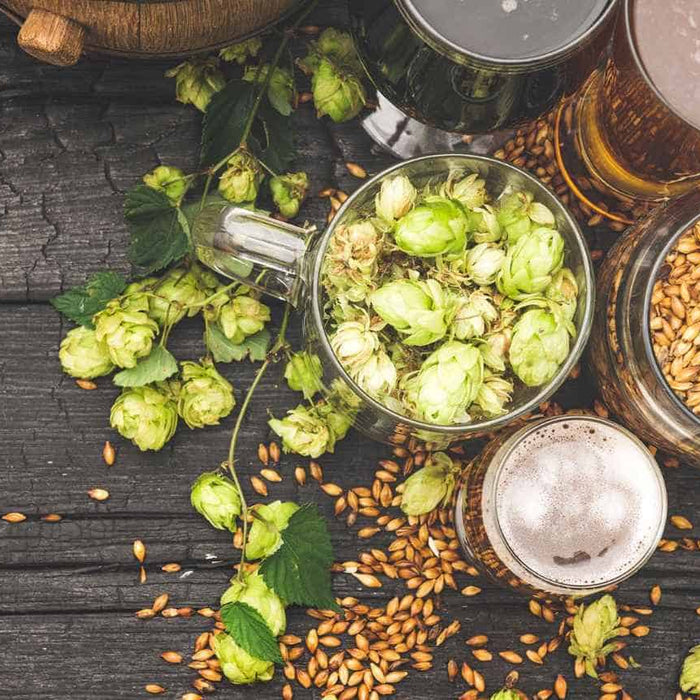 Brewing with Adjuncts: The Importance of Flavors, Fermentation, and Cost-Efficiency