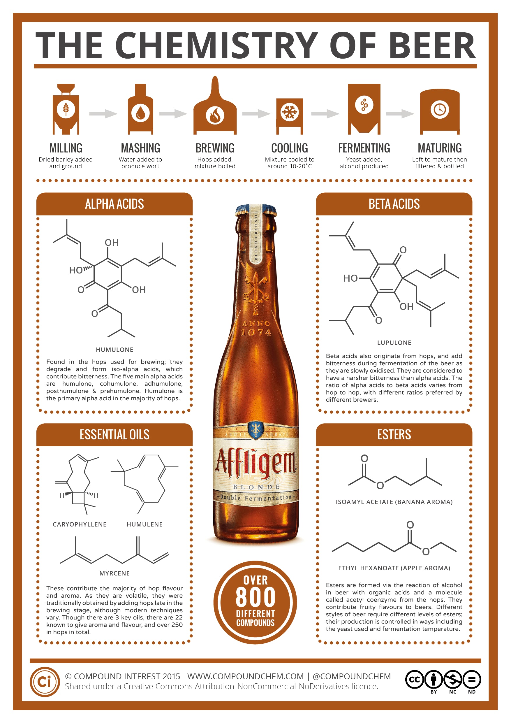 The Science Behind Hop Utilization in Beer Brewing: Understanding How Hops Contribute to the Flavor and Aroma of Beer