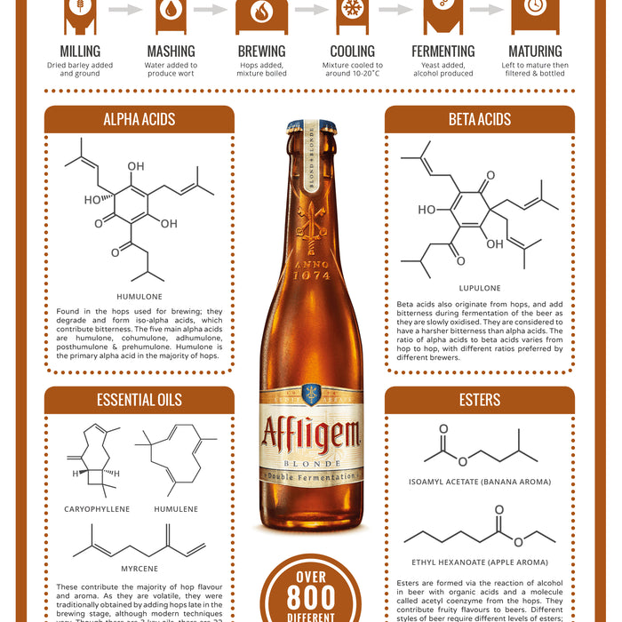 The Science Behind Hop Utilization in Beer Brewing: Understanding How Hops Contribute to the Flavor and Aroma of Beer