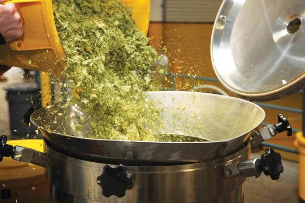 The Art of Dry Hopping: Elevate Your Beer Game