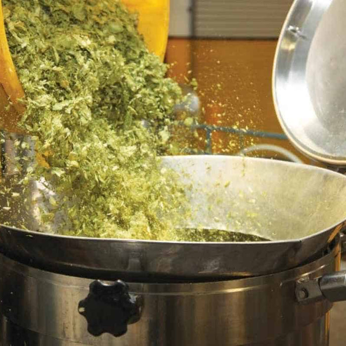 The Art of Dry Hopping: Elevate Your Beer Game