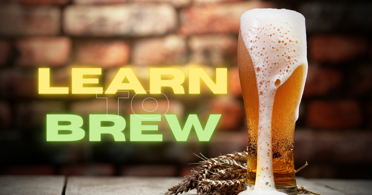 The Basics of Beer Fermentation: A Beginner's Guide