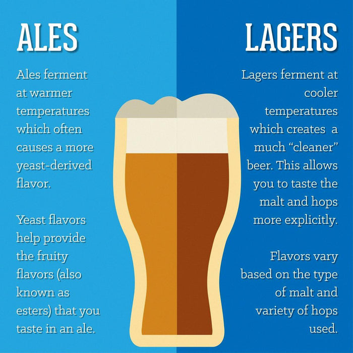 Understanding the Differences between Ale and Lager Beers