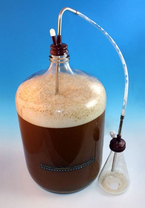 Choosing the Right Yeast for Your Beer: A Guide to Brewing Success
