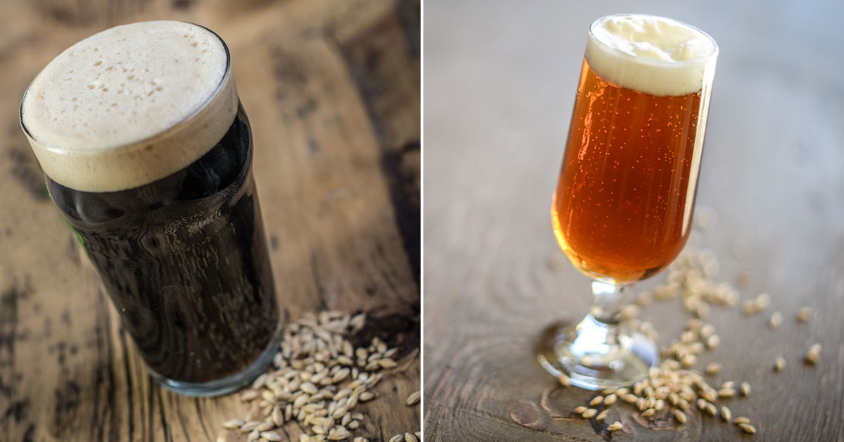 The Importance of Malts in Beer Brewing: A Guide for Craft Beer Enthusiasts